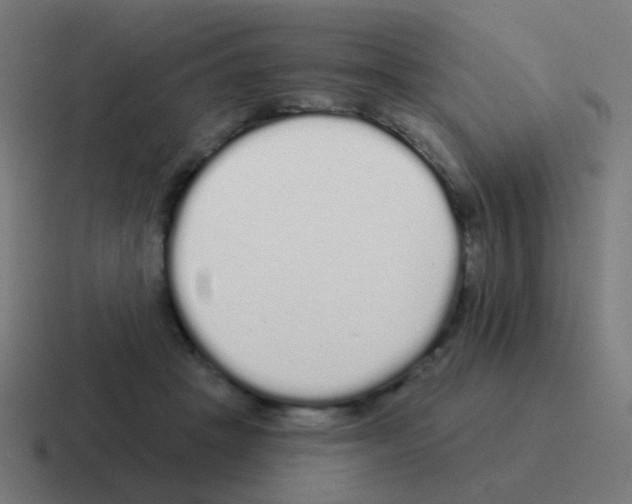 X0000116040457200912312236