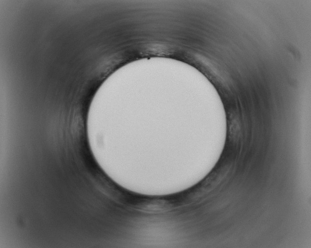X0000116040459200912312236