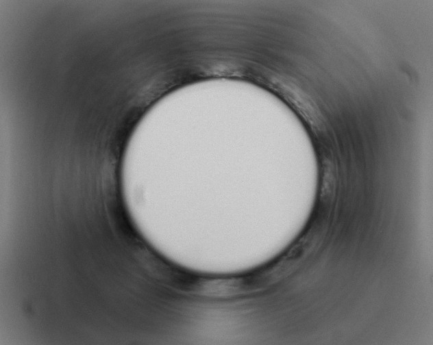 X0000116040461200912312236