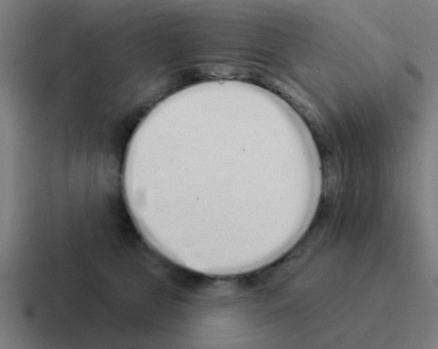 X0000116040469200912312236
