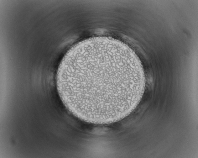 X0000116040470200912312236