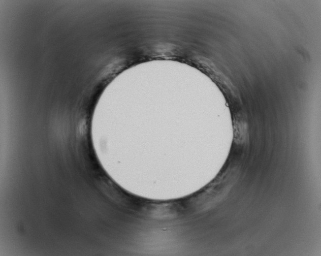 X0000116040472200912312236