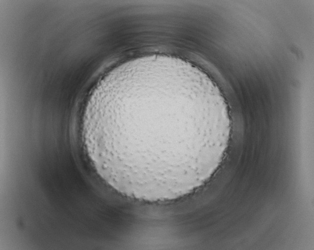 X0000116040482200912312235