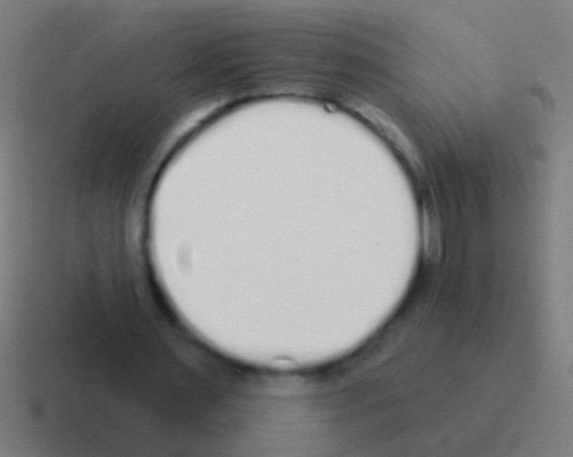 X0000116040483200912312235