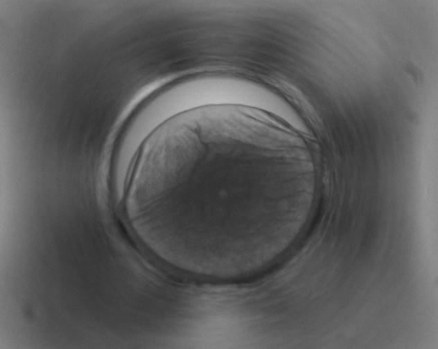 X0000116040484200912312235
