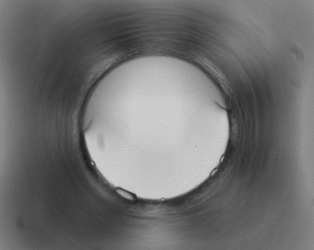 X0000116040493200912312235