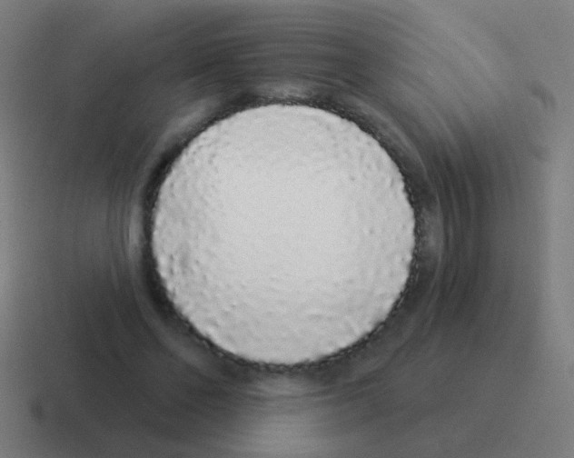 X0000116040494200912312235