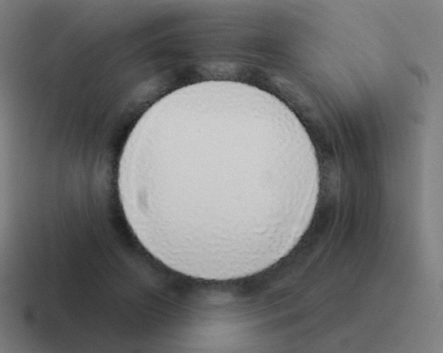 X0000116040498200912312235
