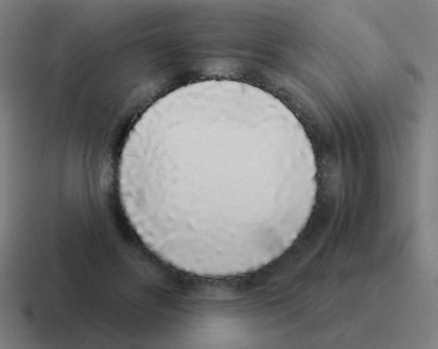 X0000116040502200912312235
