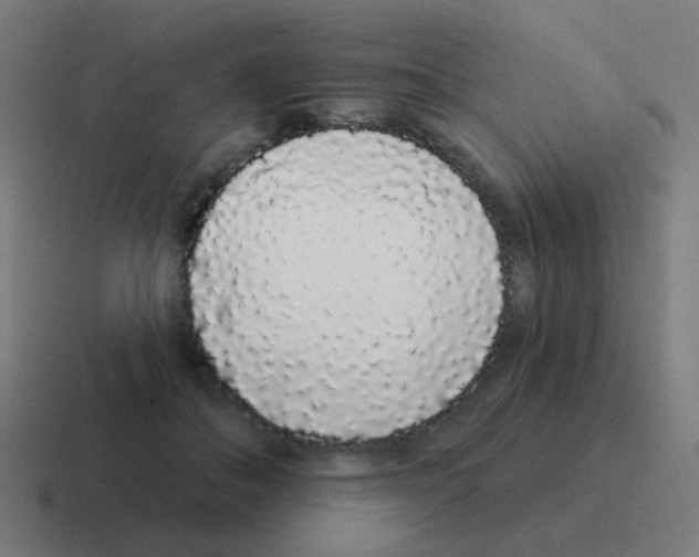 X0000116040506200912312235