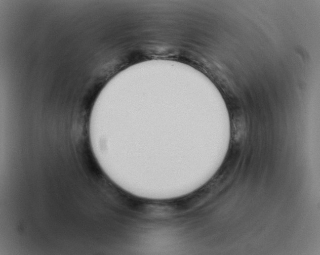 X0000116040515200912312235