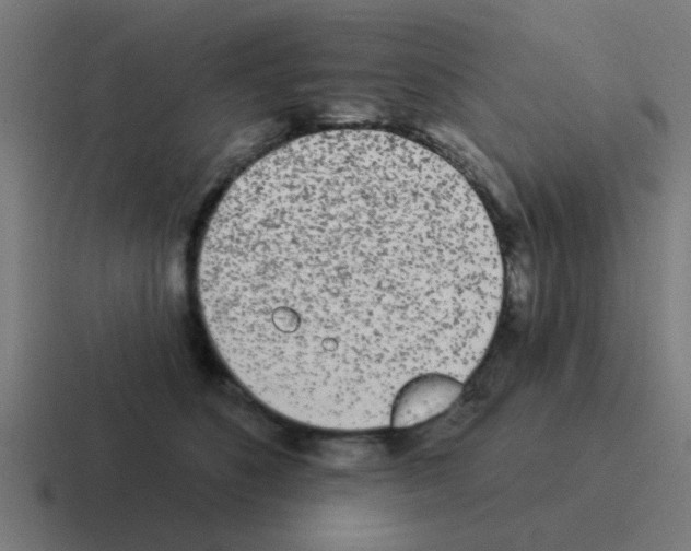 X0000116040516200912312235