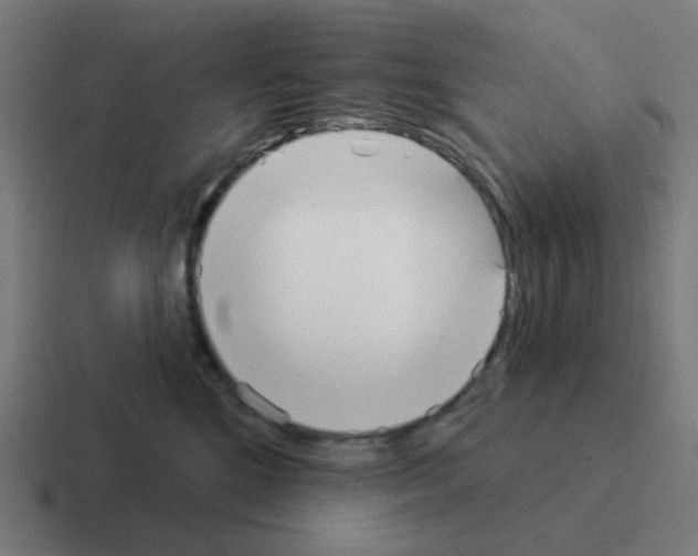 X0000116040520200912312235
