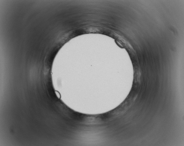 X0000116040521200912312235