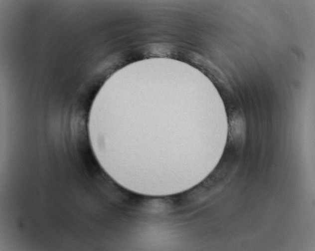 X0000116040522200912312235