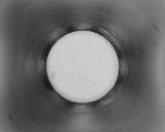 X0000116040523200912312235