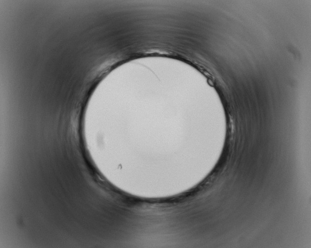 X0000116040538200912312234