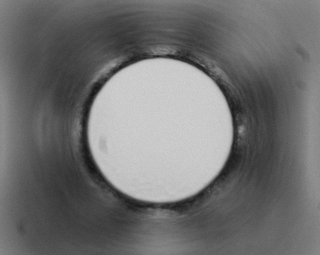 X0000116040539200912312234