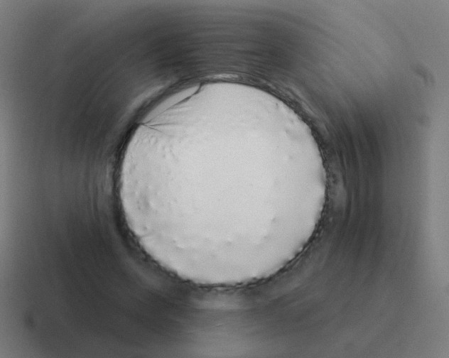 X0000116040543200912312234