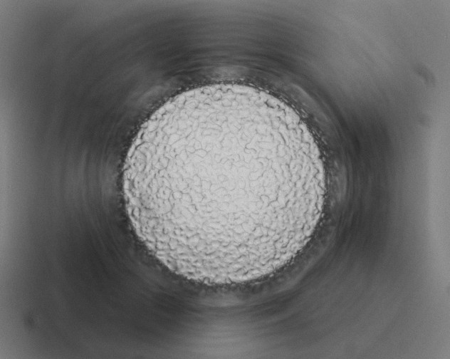 X0000116040553200912312234