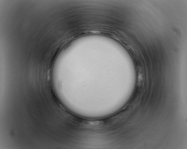 X0000116040555200912312234