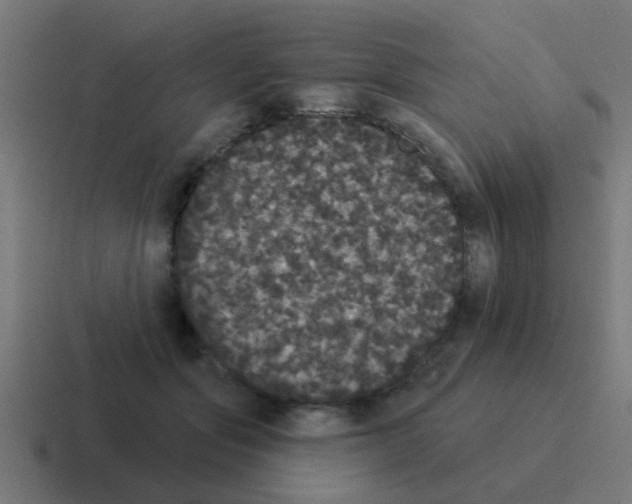 X0000116040557200912312234