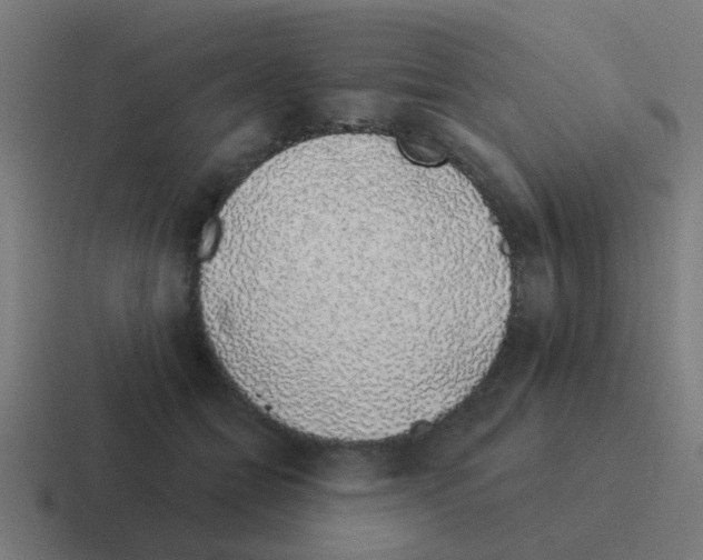 X0000116040558200912312234