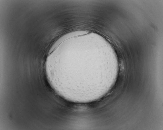 X0000116040559200912312235