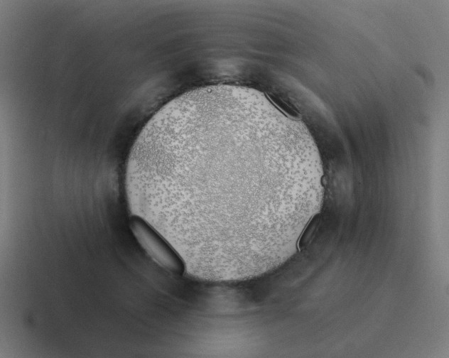 X0000116040562200912312235