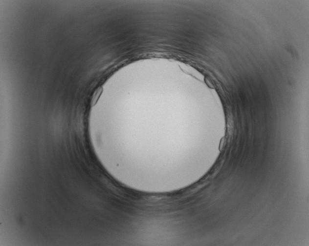X0000116040566200912312235