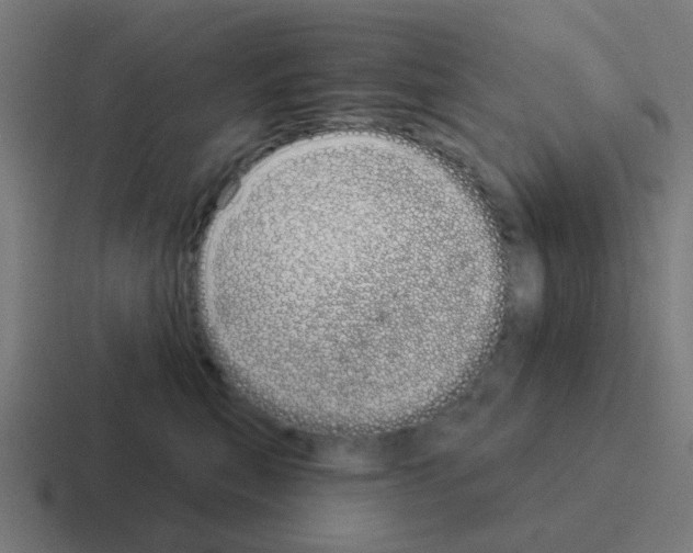 X0000116040567200912312235