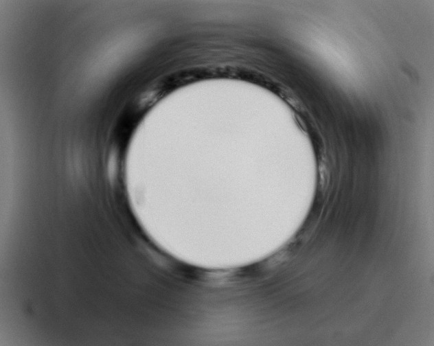 X0000116040574200912312235