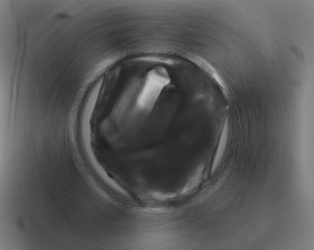 X0000116040581200912312234