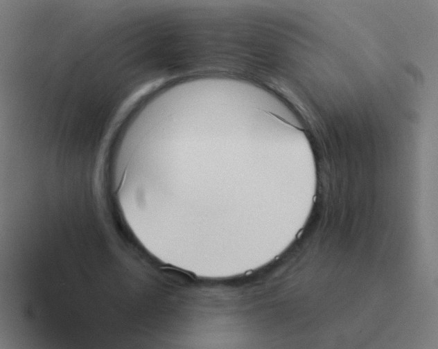 X0000116040583200912312234