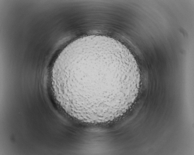 X0000116040590200912312234