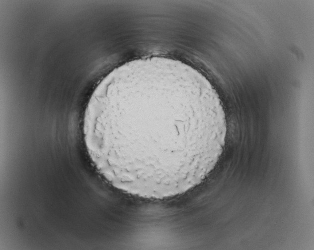 X0000116040594200912312234