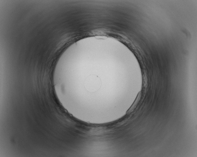 X0000116040599200912312234