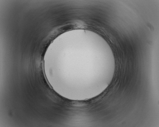 X0000116040601200912312234