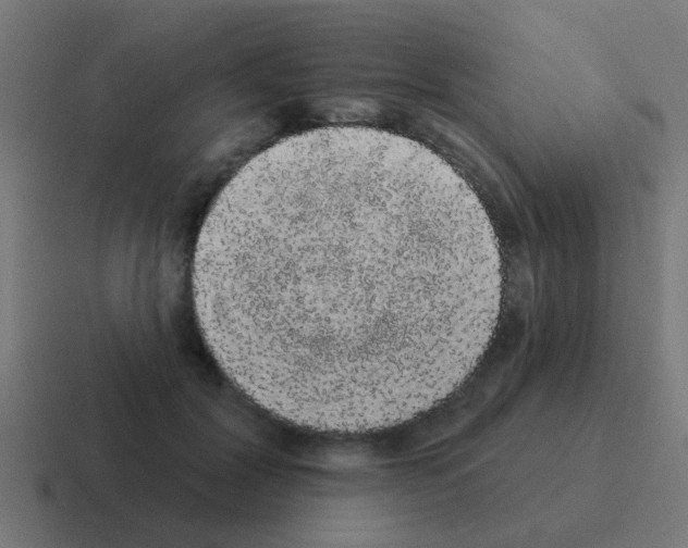 X0000116040604200912312234