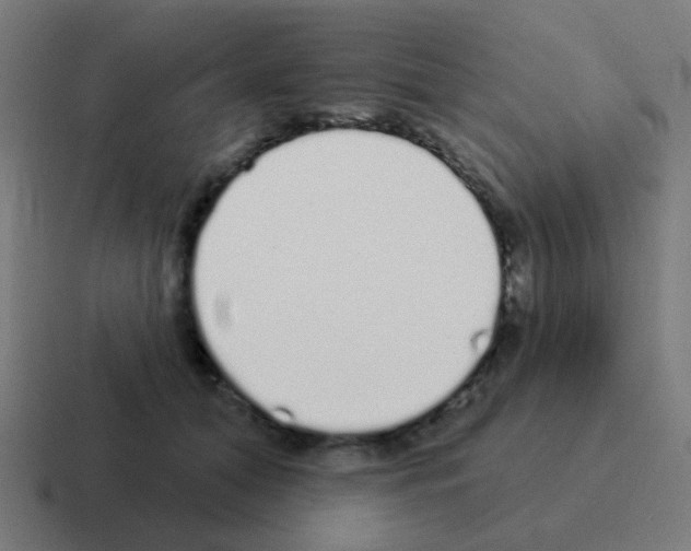 X0000116040608200912312234