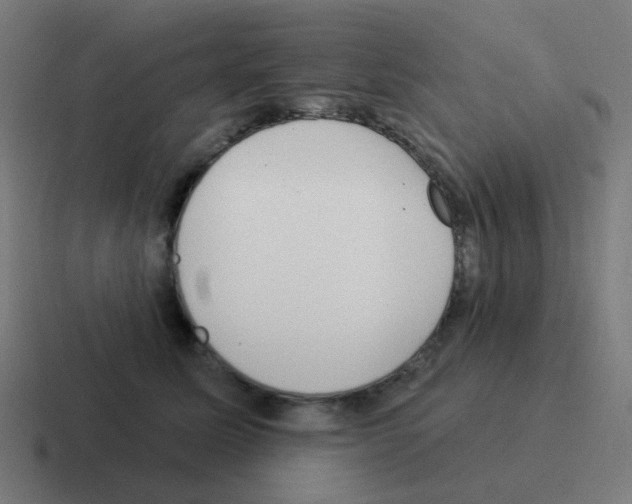 X0000116040611200912312234