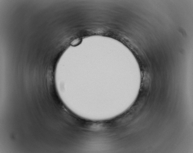 X0000116040612200912312234