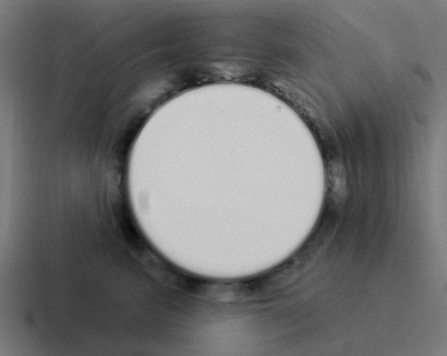 X0000116040615200912312234