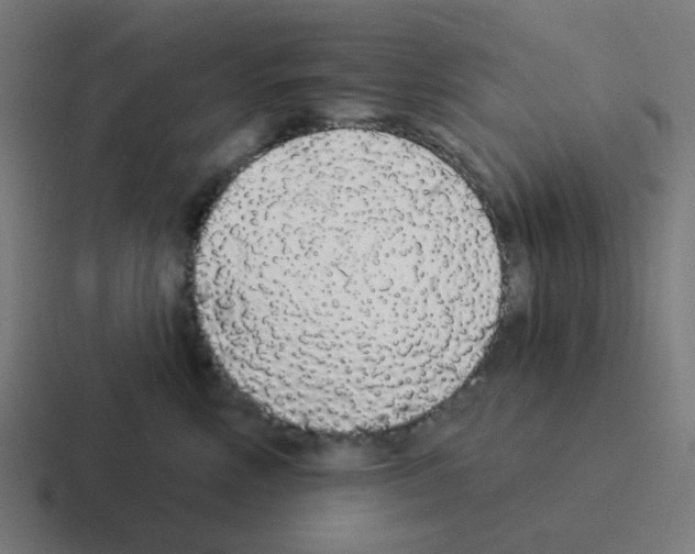 X0000116040618200912312234