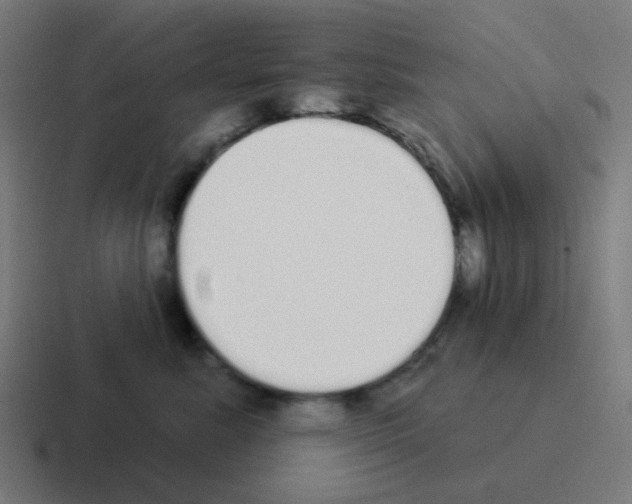 X0000116040619200912312234