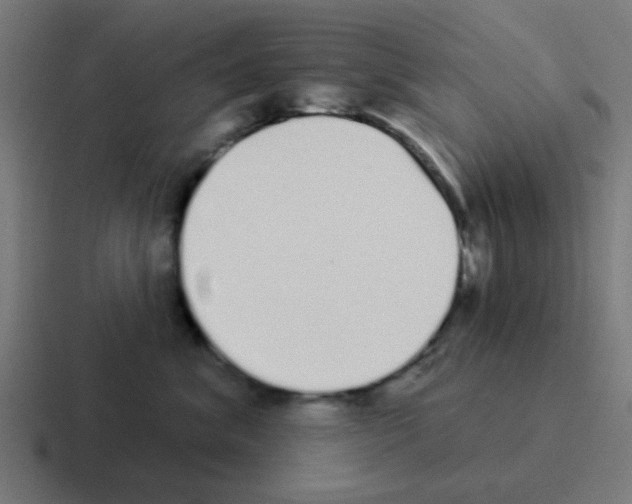 X0000116040620200912312234
