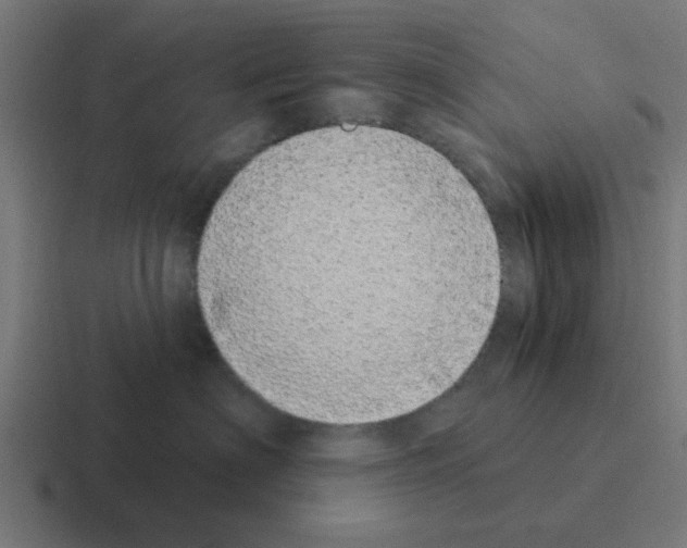X0000116040622200912312234