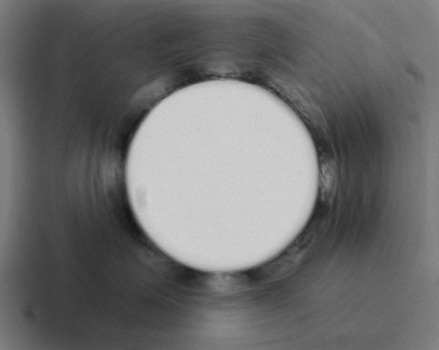 X0000116040623200912312234