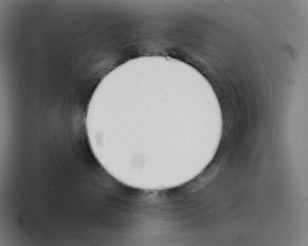 X0000116040624200912312234