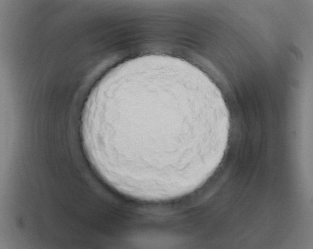 X0000116040625200912312233